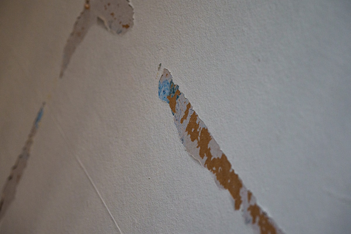 Water Extraction service in Poway, CA